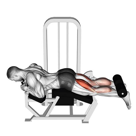 Mesa Flexora e Cadeira Flexora é a mesma coisa? Descubra a Diferença!
